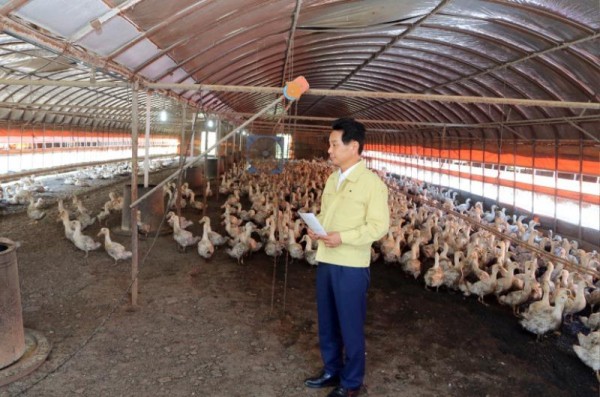 7월 25일 신북 학동 가축 폭염피해 농가 방문1.jpg