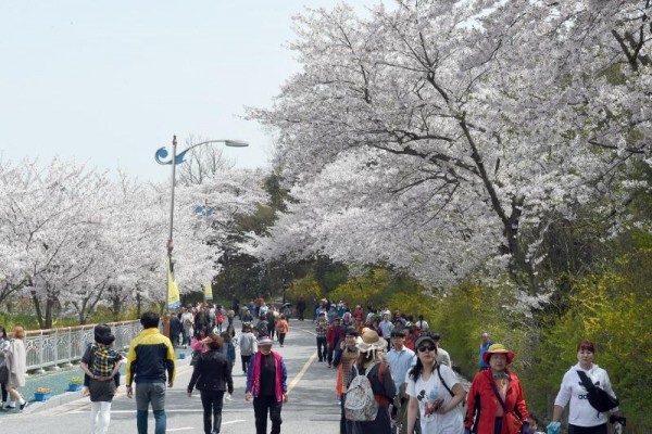[크기변환]1-2. 유달산 봄축제.jpg