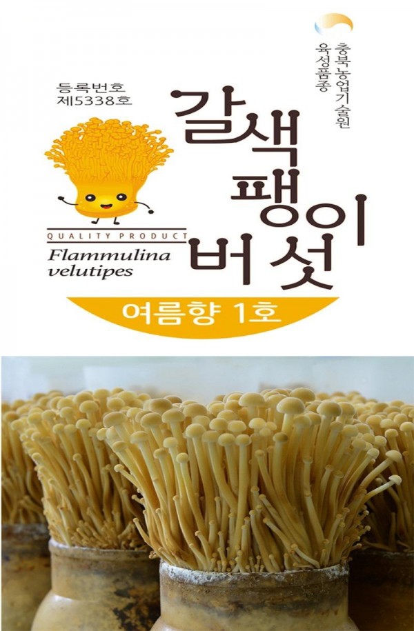 [크기변환]충북농기원, 갈색 팽이버섯 포장 디자인 특허출원 (2).jpg