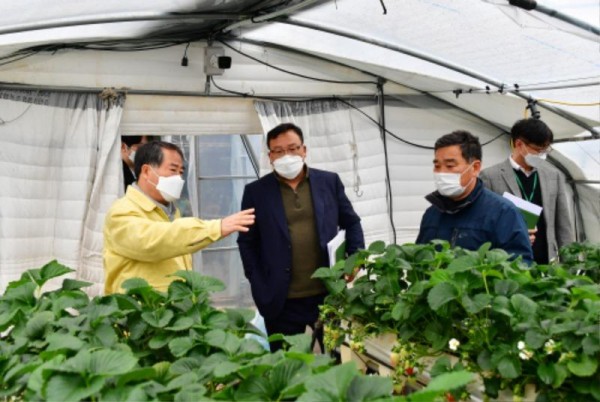[크기변환]최형식 담양군수 딸기농가 방문 (2).jpg