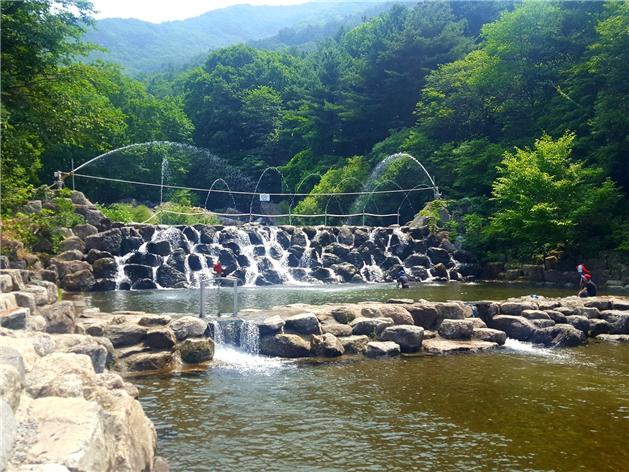여름 휴가철, 경기 축령산자연휴양림서 물놀이 즐기자!