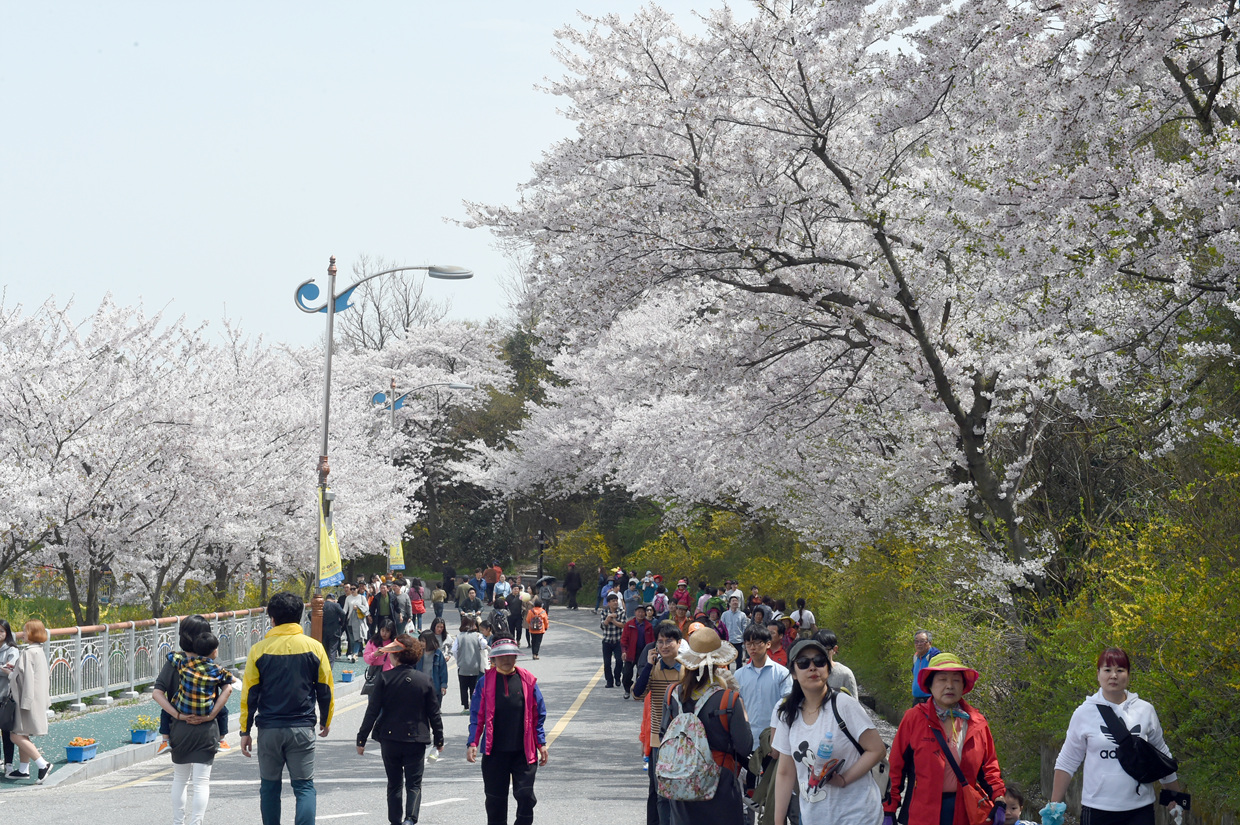 목포시, 2019년 유달산 봄 축제 개최