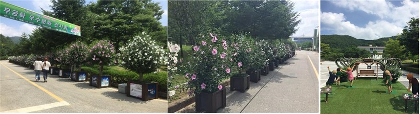충북 미동산수목원, 나라 꽃 무궁화 전시회