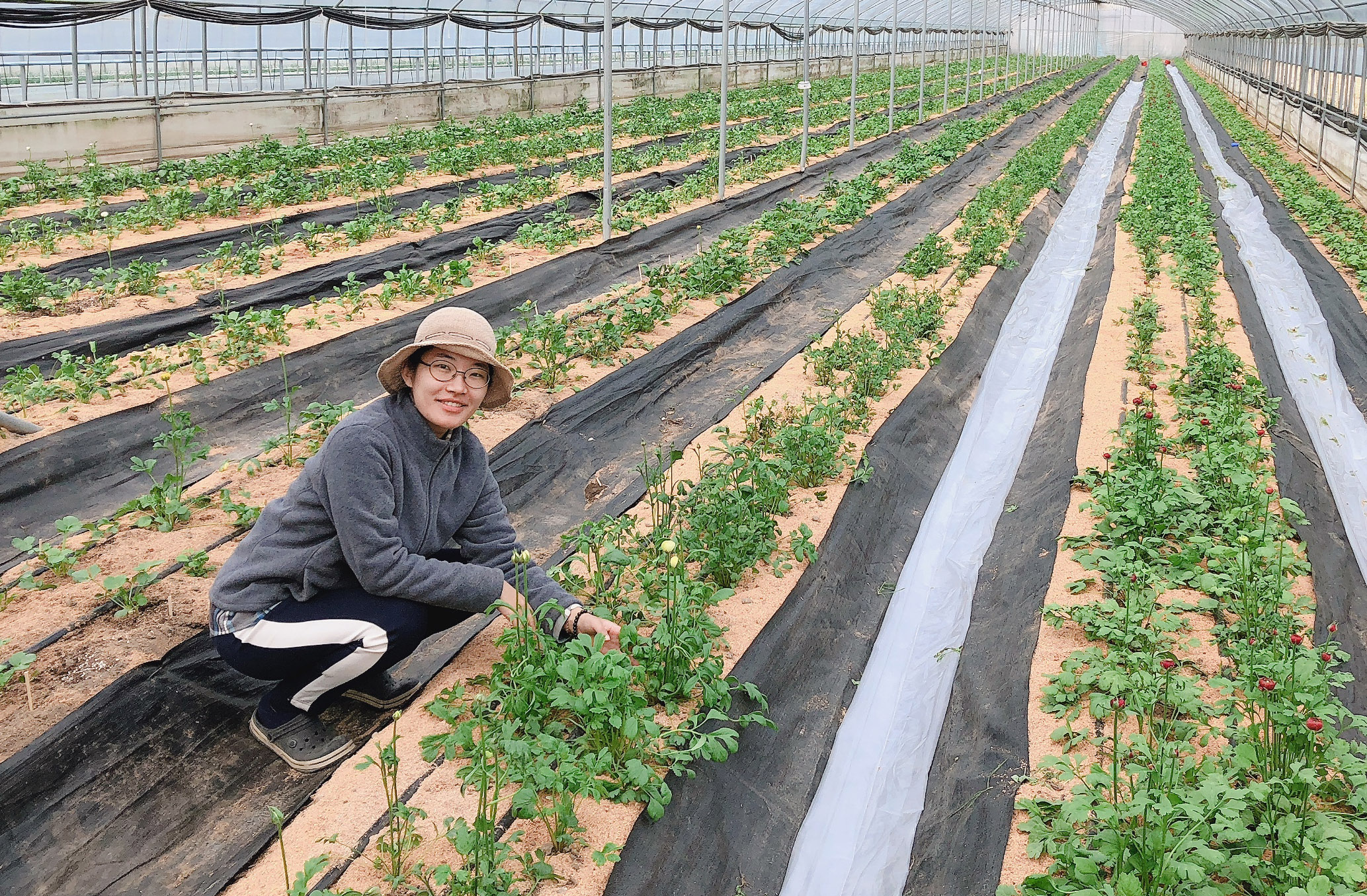 청년 창업농 문정화씨, 스마트팜으로 화훼산업 일궈