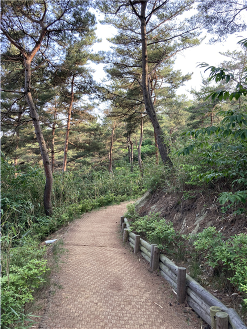숲길·걷는 길 정비…쾌적한 산행환경 조성