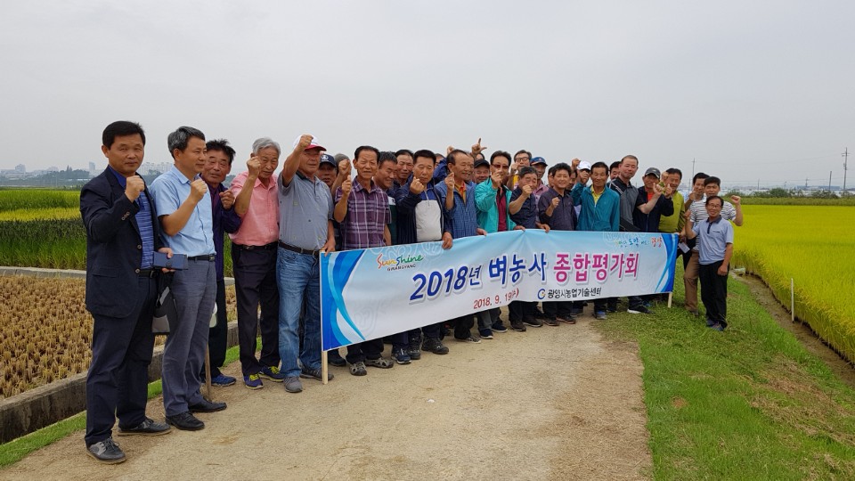 광양시, 벼농사 종합 평가회 개최…쌀 생산 평년작 수준 전망
