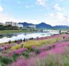 “당신의 가을… 장성으로부터”  장성군 황룡강 가을꽃축제 10월 7일 개막!