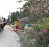 보성군 벌교읍, 장도에서 환경정화활동 펼쳐