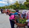 소호동동다리에 여름꽃 심는 쌍봉동 주민들