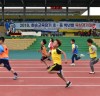 화순교육지원청, 학년별 육상경기대회 개최
