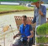 담양군의회 최현동 산업건설위원장 통일쌀 경작지 모내기 참여
