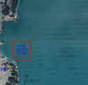 장흥 해역 ‘관리수면’ 지정…새조개 분쟁 해소
