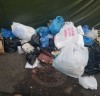 서울시, 여름철 폭염 대비 쓰레기 무단투기 집중 단속