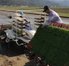 전남농기원, 벼 조기재배 핵심기술 발표